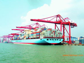 机场一般贸易清关代理,机场一般贸易清关代理生产厂家,机场一般贸易清关代理价格